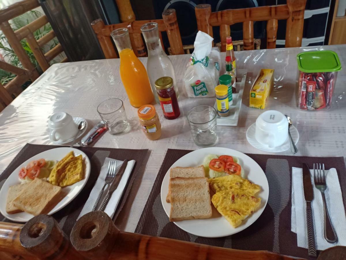 Villa Skanderbeg Guest House Puerto Princesa Eksteriør billede